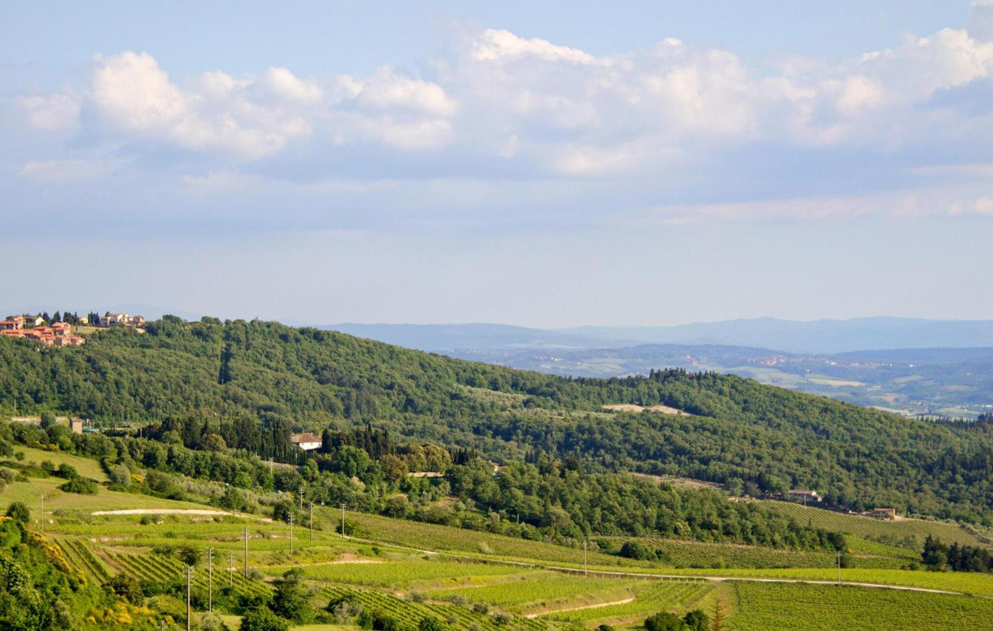 Galletto Nero Panzano in Chianti Extérieur photo